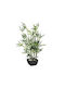 Atmosphera Künstliche Pflanze in Blumentopf Bamboo Grün 70cm 1Stück