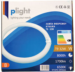 Plight Fluorescent Lamp 32W
