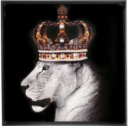 Iliadis Πίνακας Ελαιογραφία σε Καμβά 50x50cm