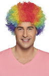 Carnival Wig Afro Multicolour