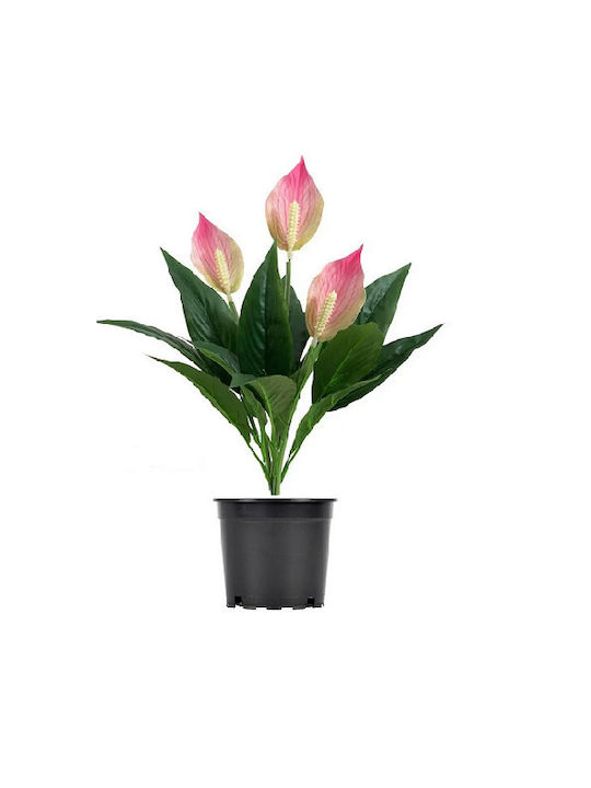 Decorative Anthurium Pink In Pot 42cm