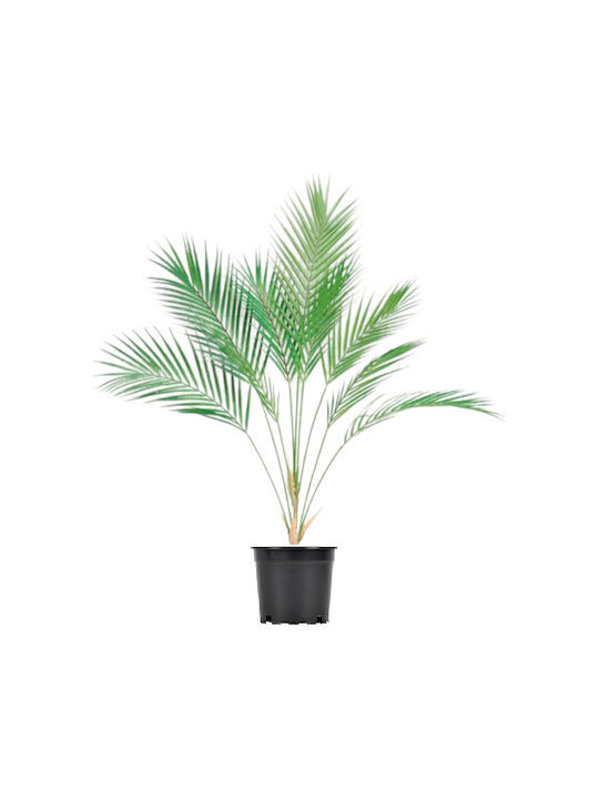 Artificial Phoenix Areca 88cm | 9 Phyllis.