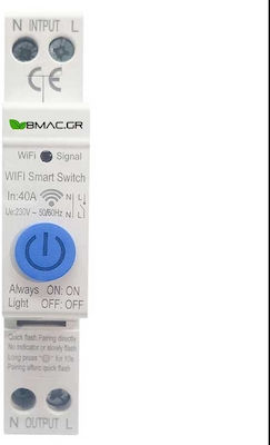 Bmac WiFi Panel Push Switch 40A