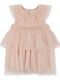 Rochie pentru Copii Din tul Blush