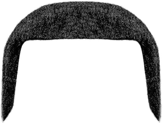 Schnurrbart / Bart für Karneval in Schwarz Farbe