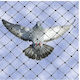 Schutz Vögel-Tauben Abwehrnetz Vögel