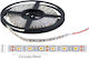 Spot Light Ταινία LED 24V Θερμό Λευκό Φως 1m Τύπου SMD2835
