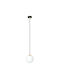 Emibig Pendant Light Single-Light