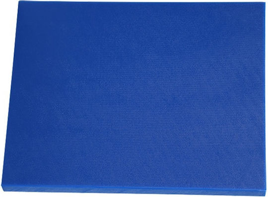 Ready HDPE Blue Cutting Board 36x25.5x1.2cm