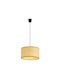 Emibig Pendant Light Single-Light