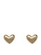 ecarla Earrings Gold Plated