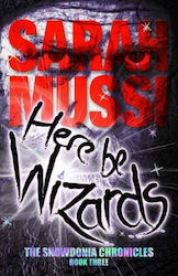 Here Be Wizards