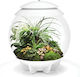 Oase Biorb Air Decorative Jar Garden 71748