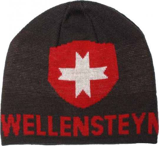 Beanie Unisex Beanie Knitted in Gray color