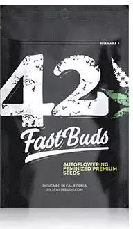 Fast Buds Σπόροι Κάνναβης