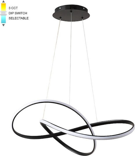 Vito Pendant Light W