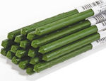 Plant Support Stick 5pcs