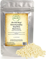 Nostos Pure Κερί Ελαιοκράμβης Καρύδας (Παστίλιες) Candle Materials 4kg