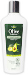 HerbOlive Conditioner with Avocado 200ml