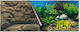Europet Bernina Sea Aquarium Dekoration Poster 008118