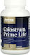 Jarrow Formulas Colostrum Prime Life 400mg Ergänzung zur Stärkung des Immunsystems 120 veg. Kappen