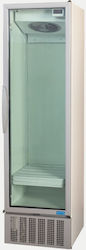 Frigoglass Super Sub Zero Ψυγείο Μπύρας 449lt Μονόπορτο Υ201.4xΠ59.6xΒ62.9cm Frigoglass Super Sub Zero Ψυγείο Μπύρας 449lt Μονόπορτο Υ201.4xΠ59.6xΒ62.9cm