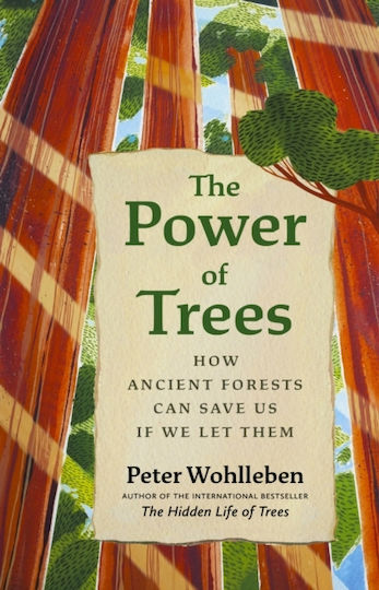 Power Of Trees Power Of Trees