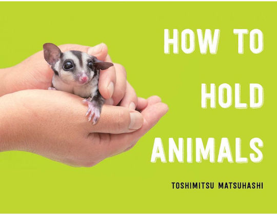 How to Hold Animals (Hardcover) How to Hold Animals (Hardcover)