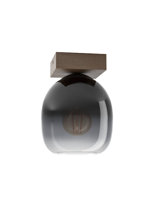 Eglo Πλαφονιέρα Οροφής με Ντουί E27 σε Γκρι χρώμα 14.5cm