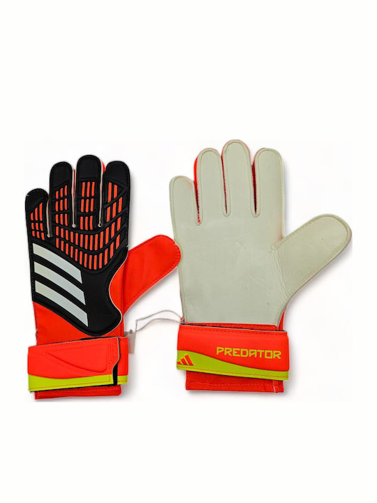adidas Predator Training IQ4029 Torwarthandschuhe Kinder Mehrfarbig |  Skroutz Germany