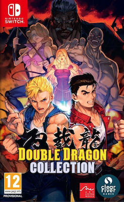 Double Dragon Collection Joc Switch