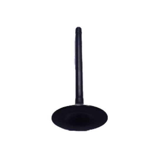 Kymco Motorcycle Intake Valve Kymco Xciting 500