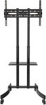 Fonestar STS-4664N TV Mount Floor up to 70" and 40kg