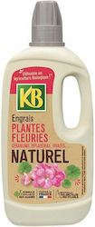 KB Liquid Fertilizer Potassium 1lt 1pcs