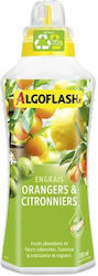 Algoflash Fertilizer Potassium Φυτών 1pcs