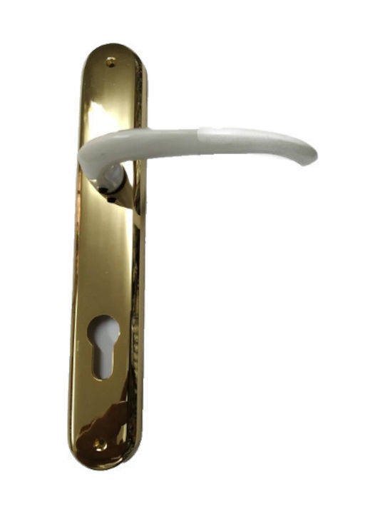 Front Door Lever Plate Right Gold Glossy