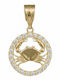 Charm Semn Zodiacal Cancer Din Aur Galben 9 Carate Cu Zircon