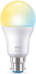 WiZ Smart Λάμπα LED 60W για Ντουί B22 και Σχήμα A60