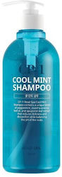 CP-1 Cool Mint Shampoos 1x500ml