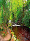 Wall Mural Paper 200x255cm Washable