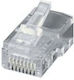 Equip Βύσμα RJ-45 100τμχ Διάφανο (121151)