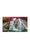 Wall Mural Paper 250x150cm Washable