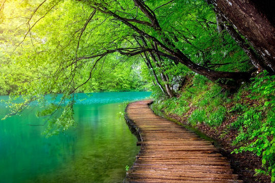 Wooden Floor Over River In Forest Κάδρο σε Καμβά 105x70cm