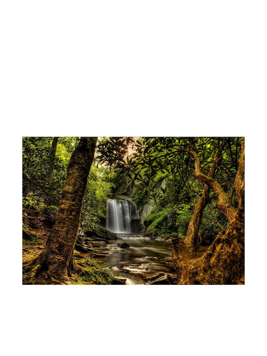 Autocolantă Tapet de Perete 250x150cm Lavabil