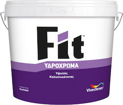 Vivechrom Fit Plastic Water-Based Paint for Int...