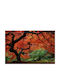 Fototapete Papier L200xB150cm Waschbar FTAP-BBIMG6715