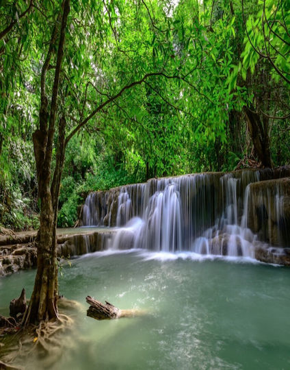 Cascada44 Waterfalls In Green Forest Cascada44 Waterfalls In Green Forest