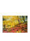 Autocolantă Tapet de Perete 250x150cm Lavabil