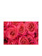 Self-adhesive Wall Wallpaper 350x250cm Washable