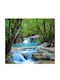 Wall Mural Paper 200x255cm Washable